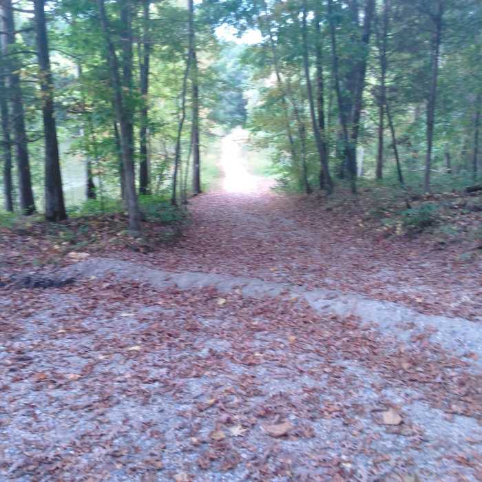 Near Durant Nature Park Loop