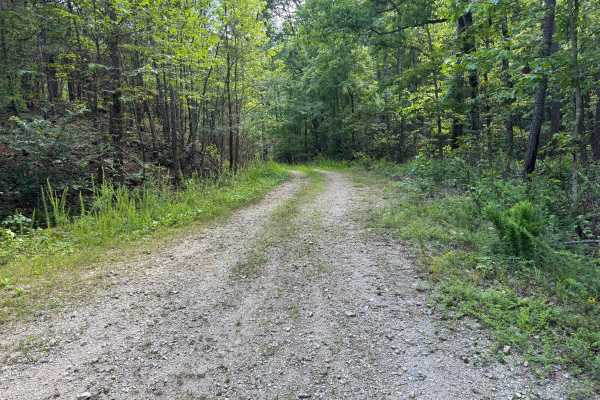 Shirley Creek Spur