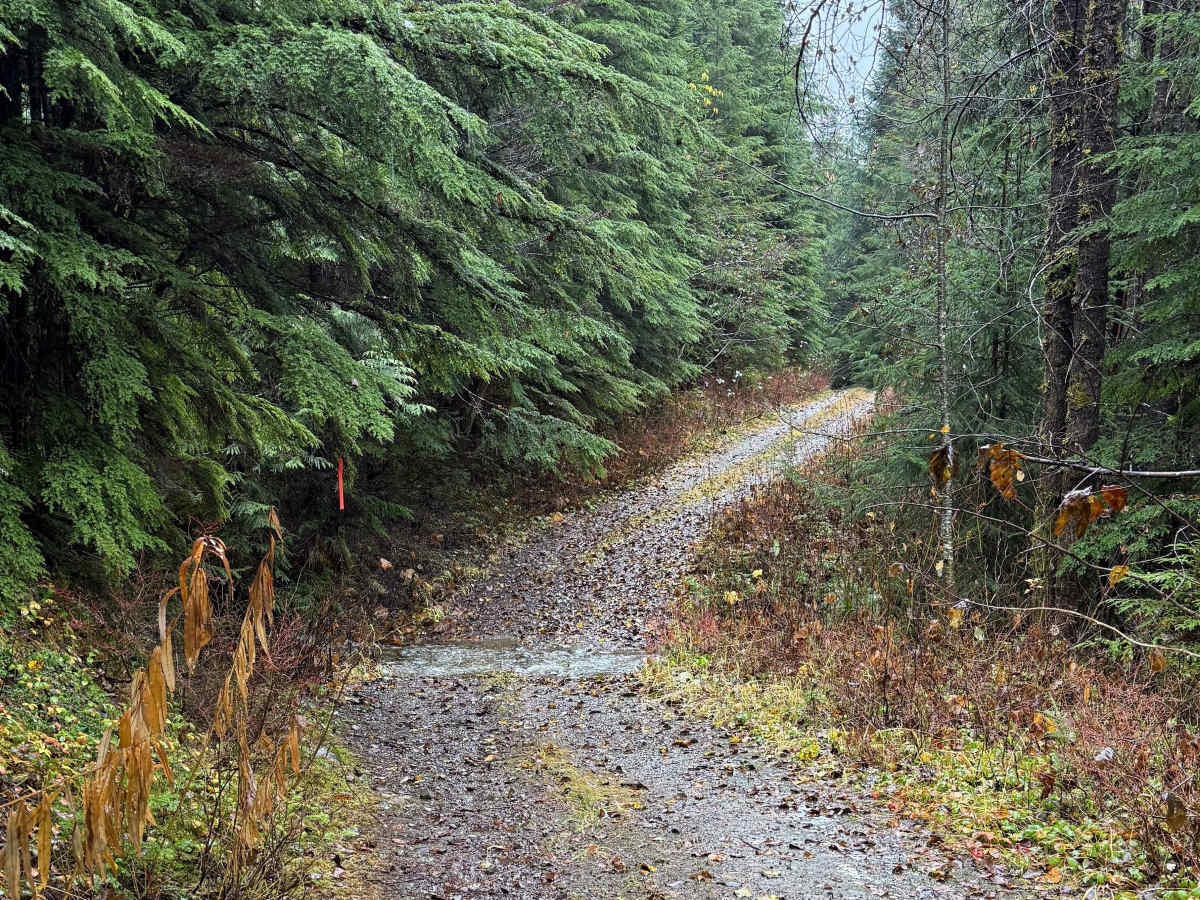 Bornite Mountain Trail photo 2