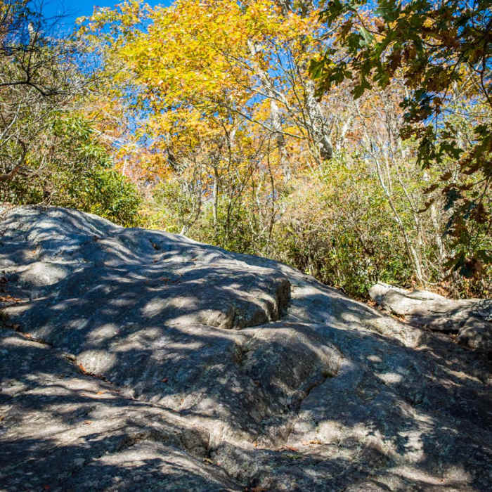 Near Mount Pisgah via the Buck Spring Trail Near Mount Pisgah via the Buck Spring Trail