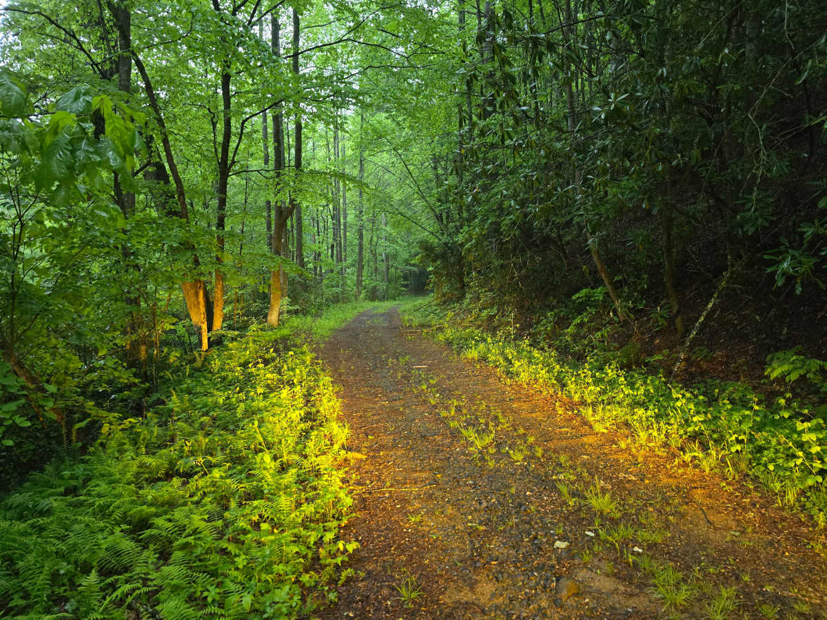 Three Fork Gap photo 4