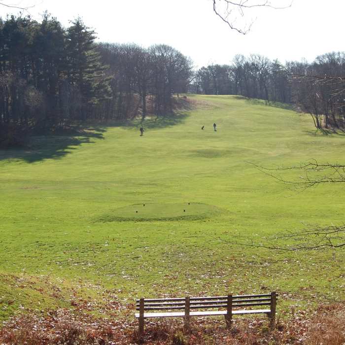 DSC_0002 Near Franklin Park Loop