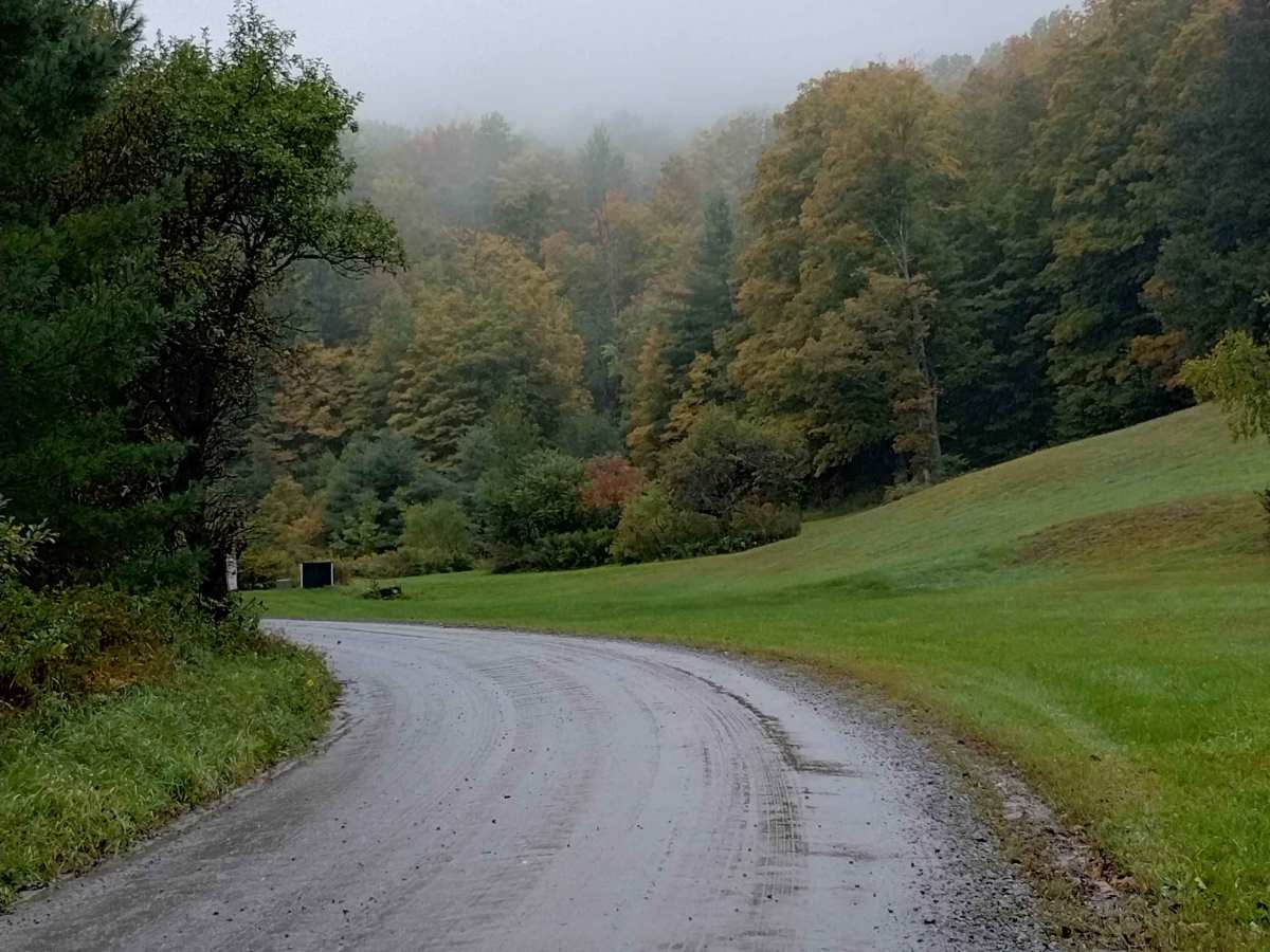 Ward Hill Track photo 2