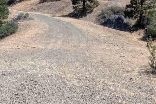 Enemy Road - FS 2N13 