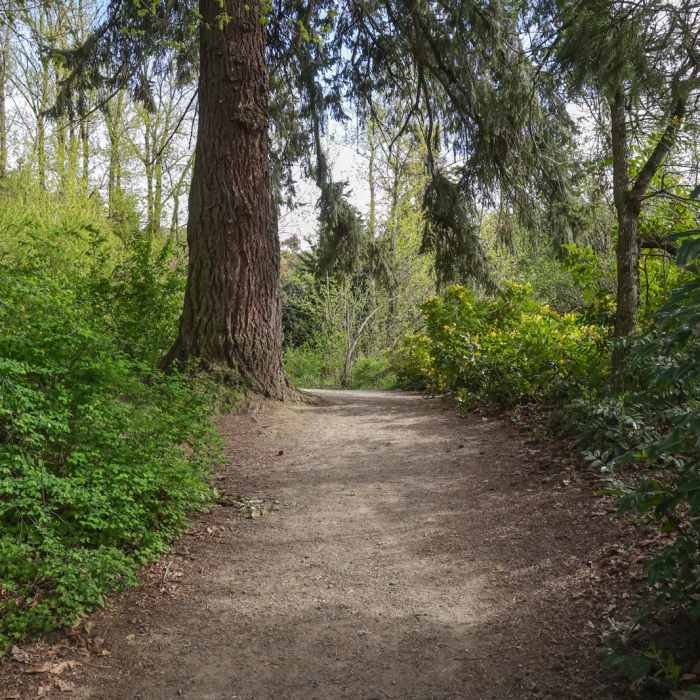 Near Elk Rock Island Trail
