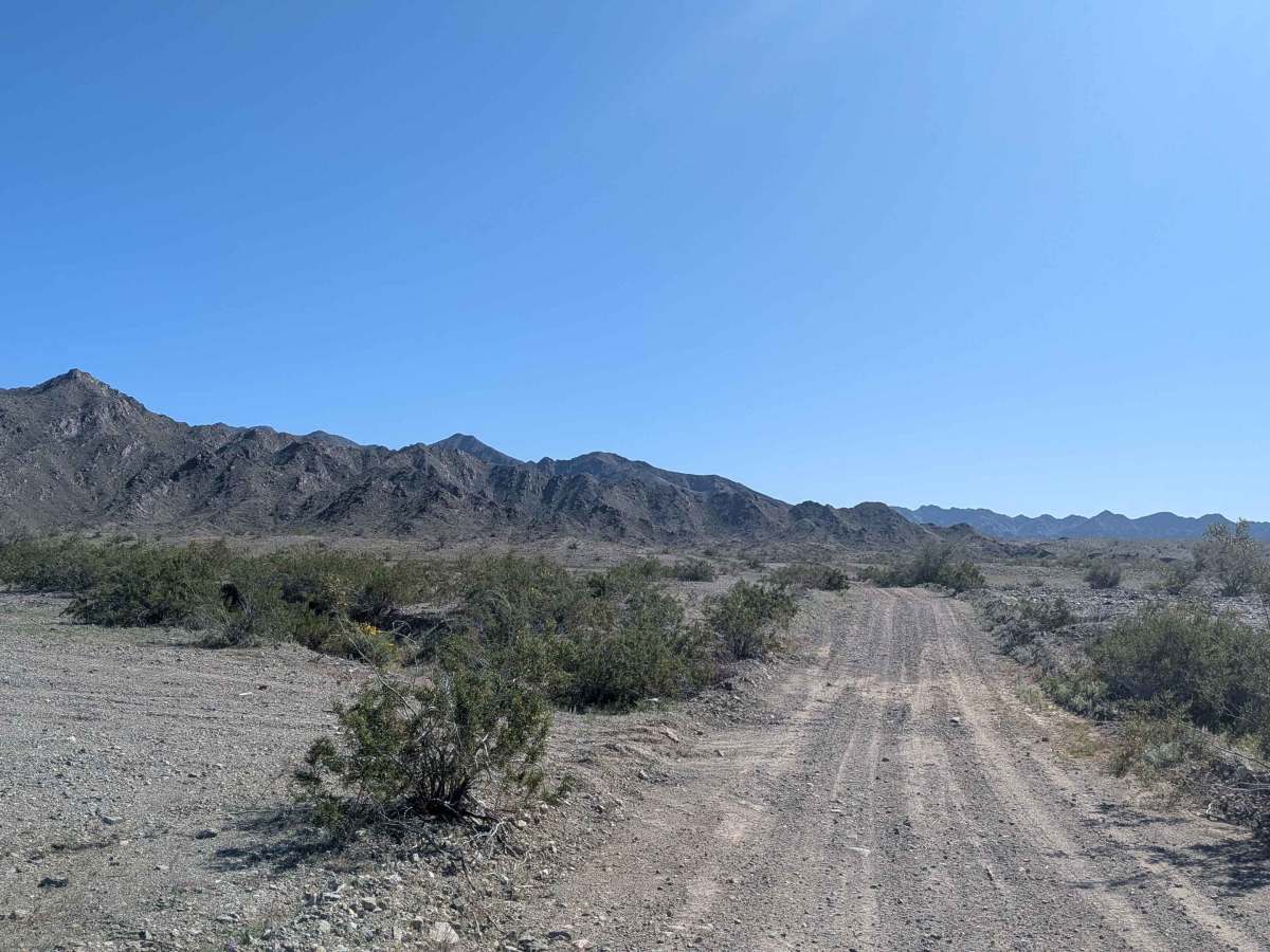 Tom Wells Road - EC1268 photo 4