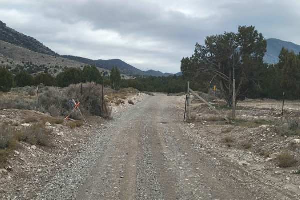 Homansville Pass Road