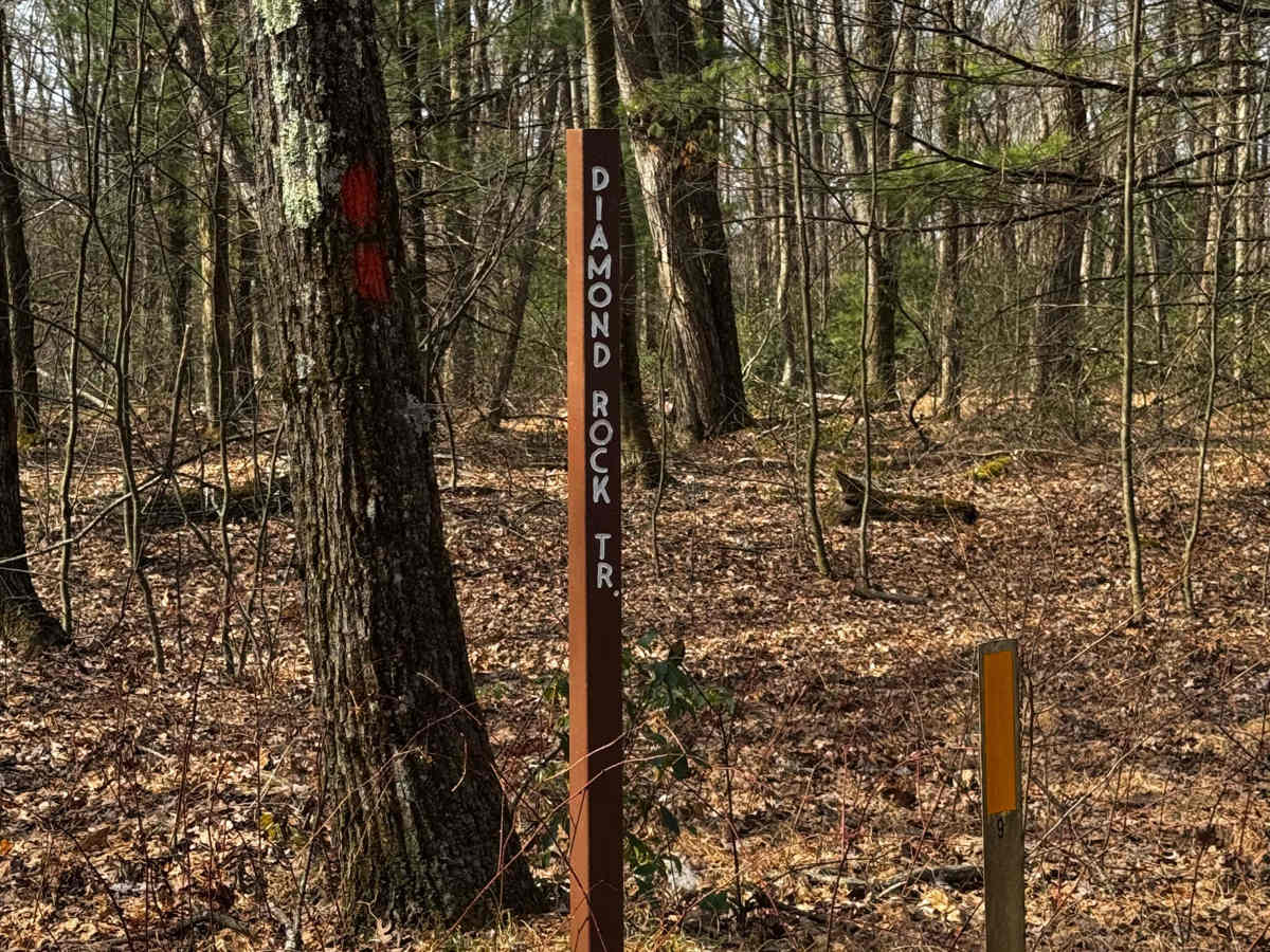 Diamond Rock Trail trail photo
