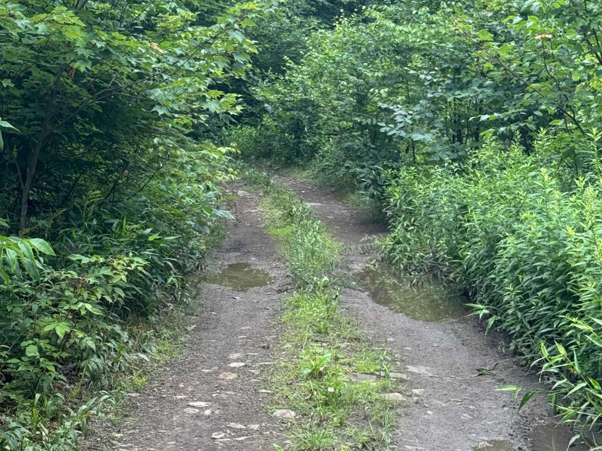 Trail 88 photo 2