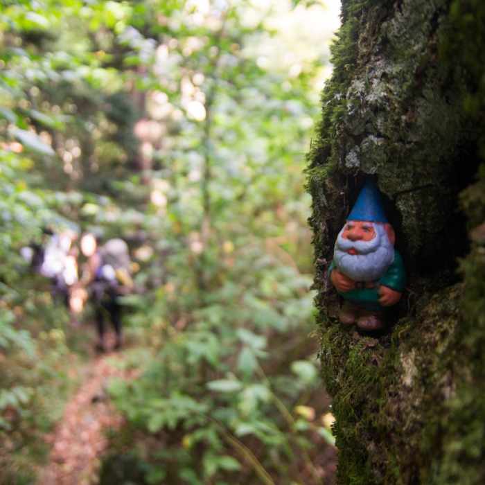 Near Shining Rock via Big East Fork Near Shining Rock via Big East Fork