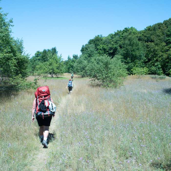 Near Maleski Homestead Trail