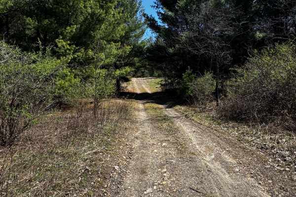 Logway Run Trail East