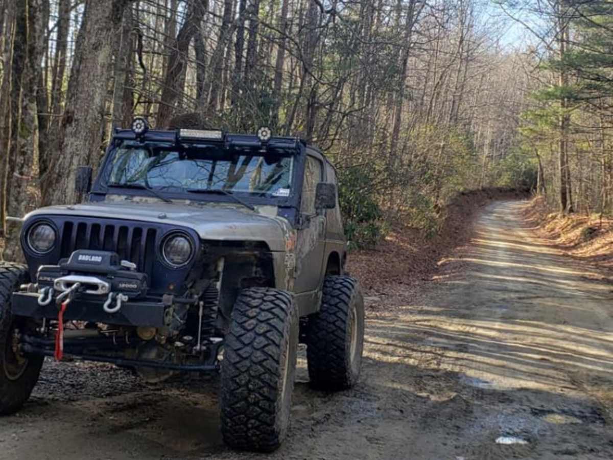 Pinicale Mt Rd trail photo