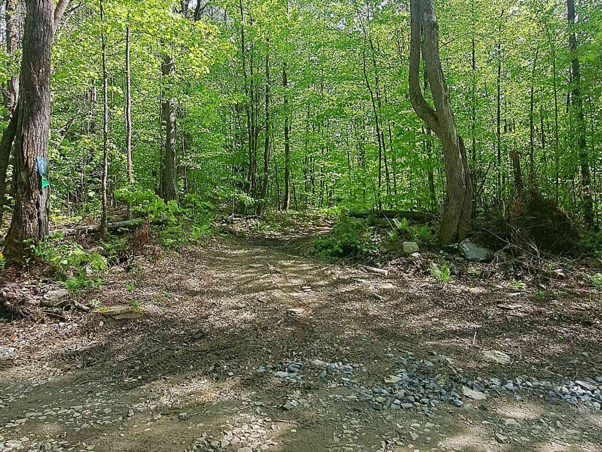 Podunk Road photo 2