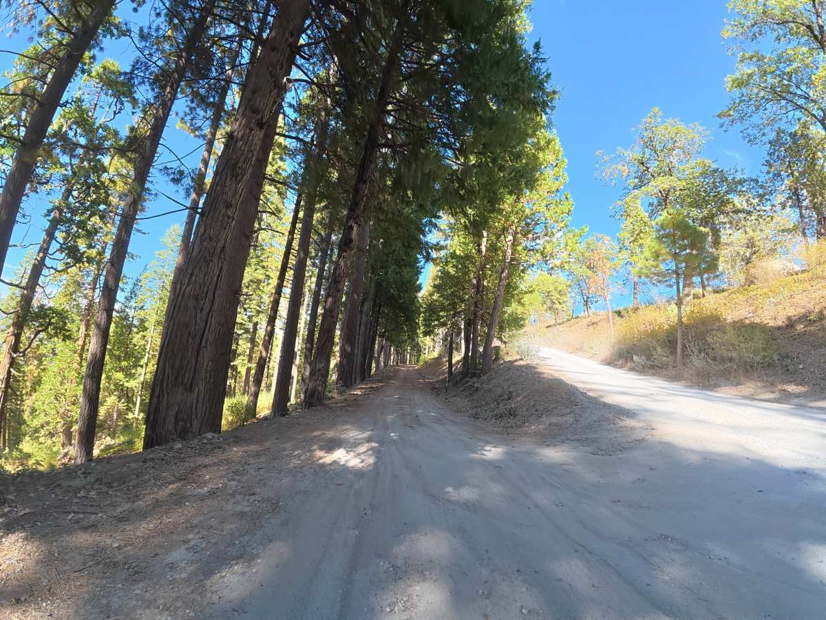 FS 4N42 trail photo