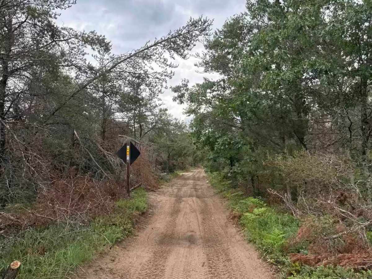 Clear Lake State Park trail head photo 4