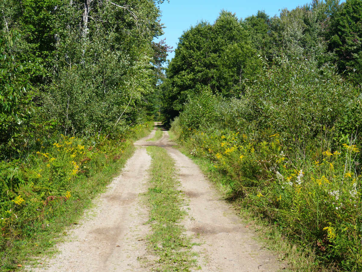 Tillman Road trail photo