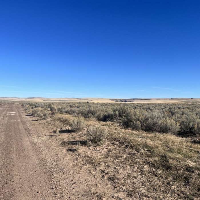 Near Arritola Road to Rome