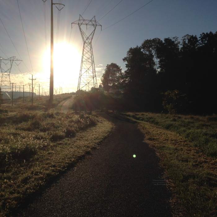 Near Skippack Trail