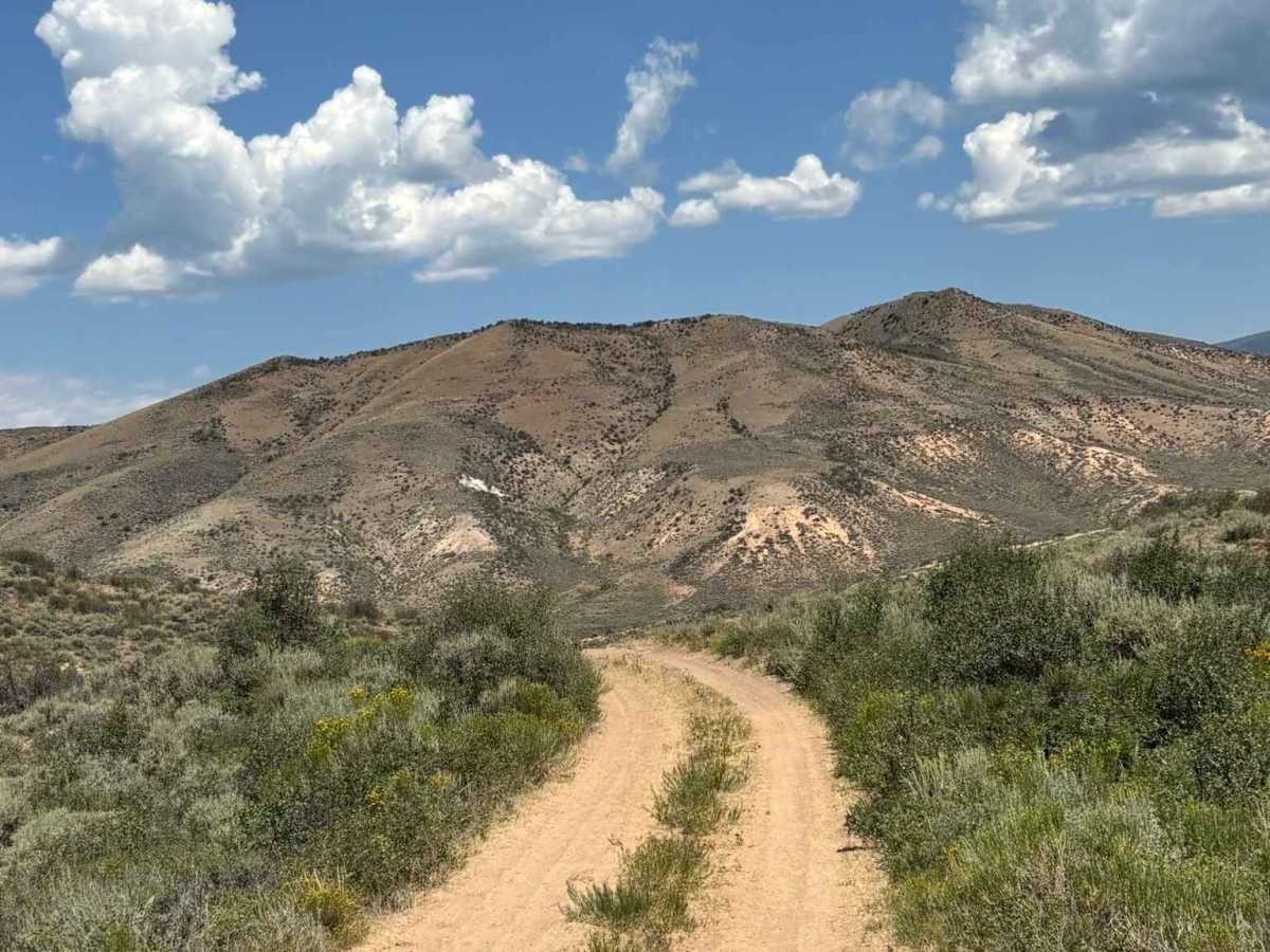 Northern Wolford Connector photo 2