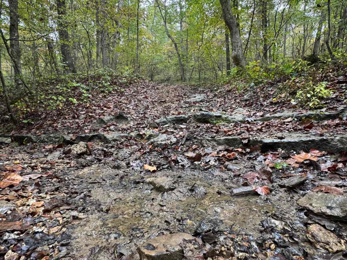 Creek Crossing photo 2