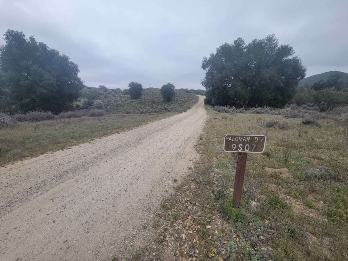 Palomar Divide (9S07) trail photo