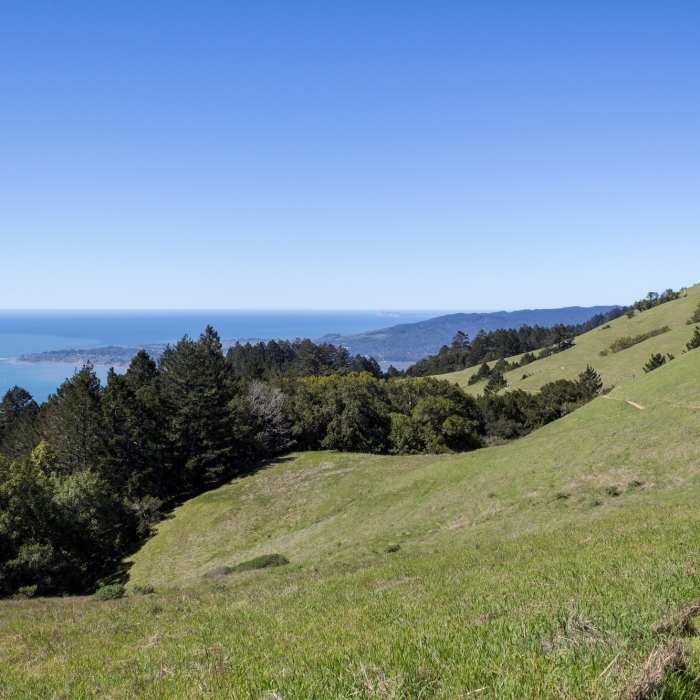 View from Bare Knoll towards the coast Near Bay Area Ridge Trail: Mount Tamalpais State Park and Bolinas Ridge