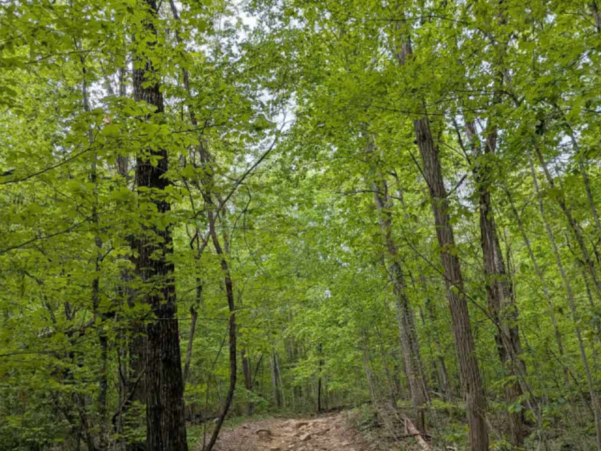 Trail 27 photo 2