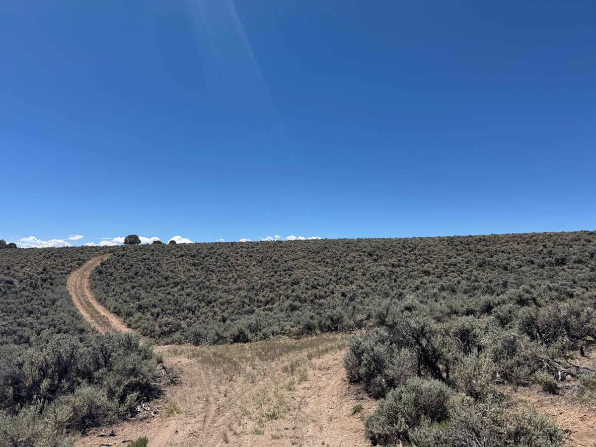 BLM 8477C photo 5