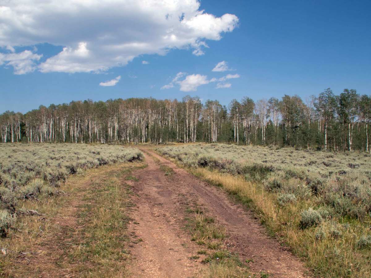 Charleys Park Spur - FS 10760 photo 6