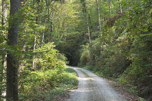 Slickrock Road