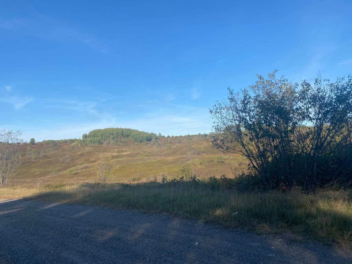 Barrens Loop photo 3