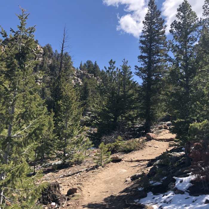 Near Kruger Rock Trail