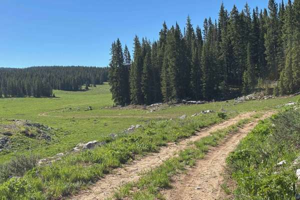 Bench Road