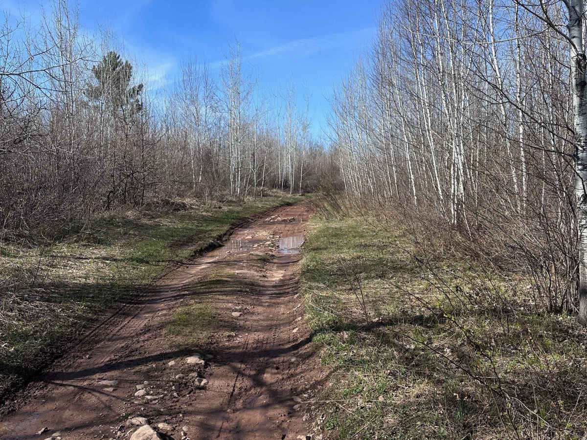 Trout Brook Trail photo 4