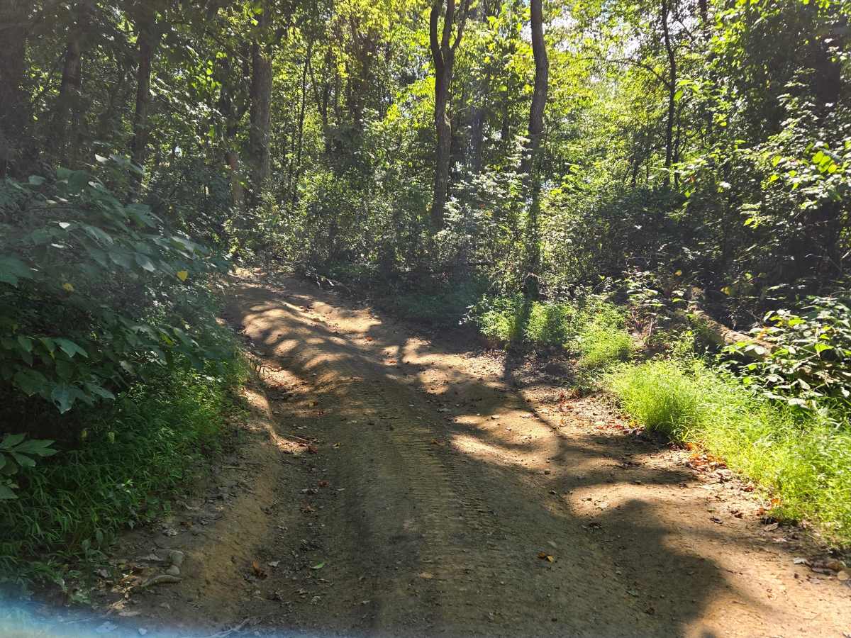Trail 50  photo 5