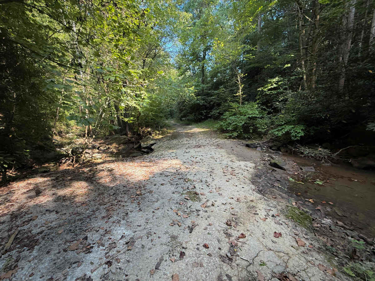 Bowling Branch Trail photo 4