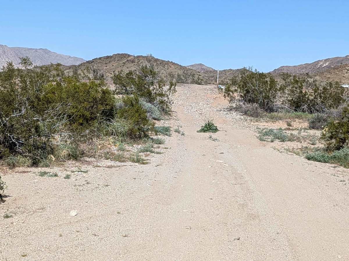 BLM 311 trail photo