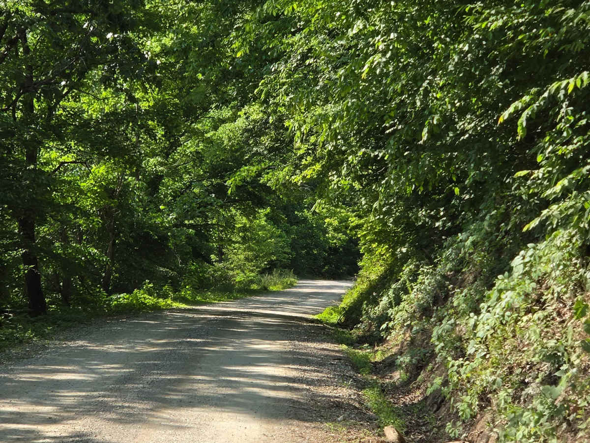 Newfound Road photo 2