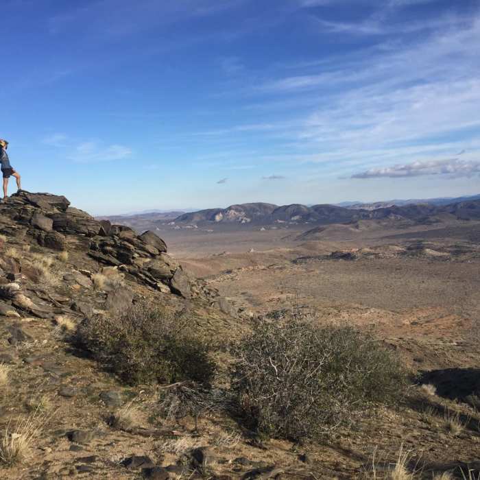 Near Quail Mountain Loop