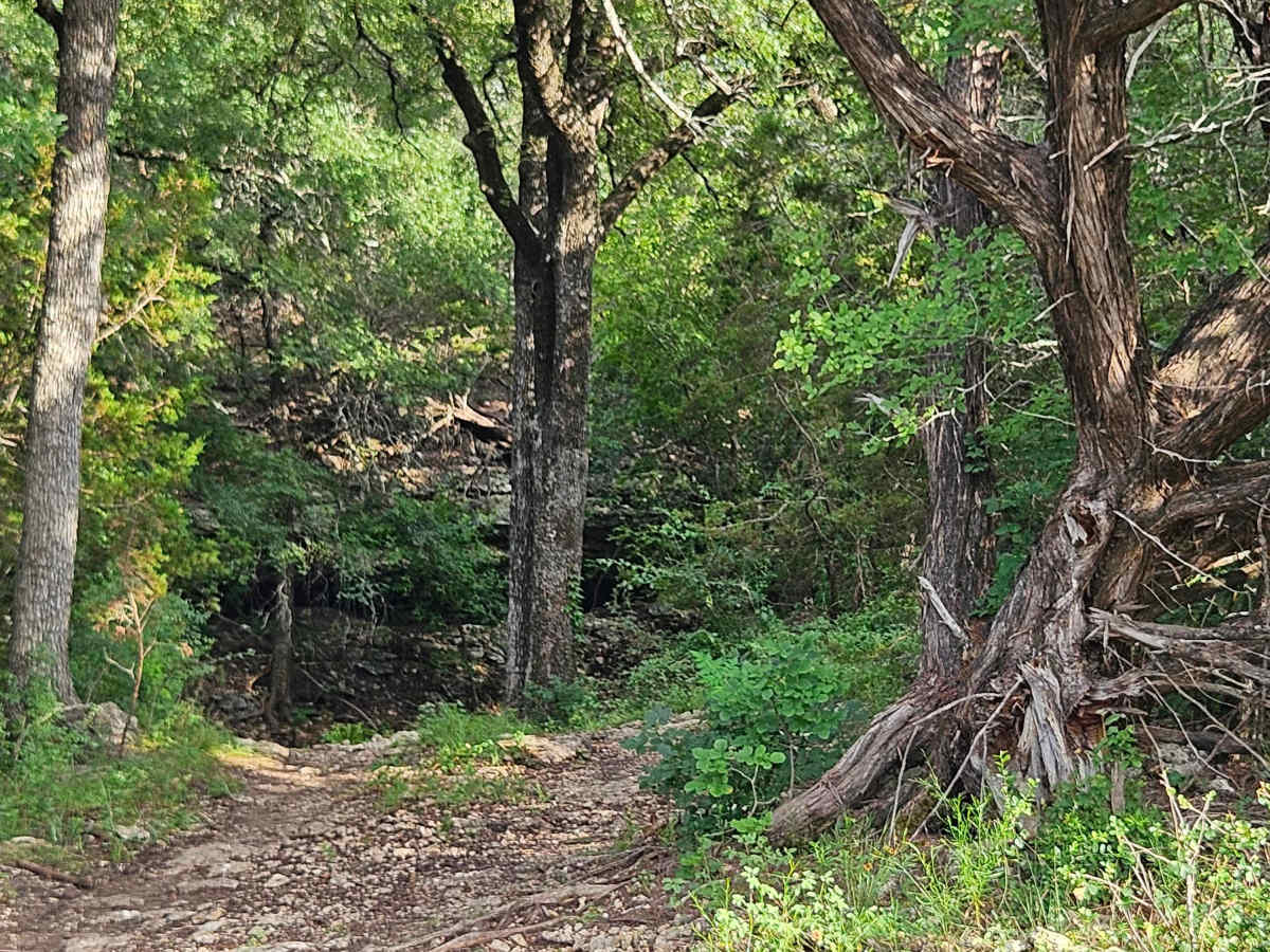 Savannah Oak Cave photo 4