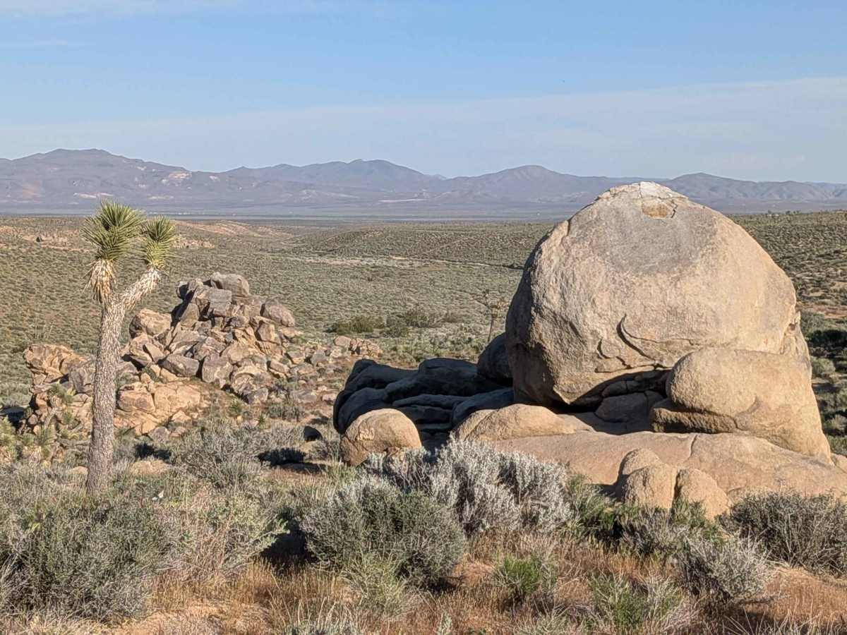 BLM SC161 photo 3