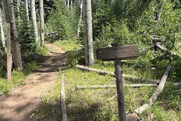 Red Ledges Trail No. 019