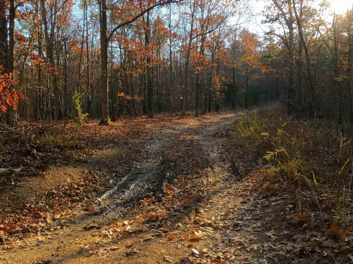 Indian Creek Church - FS 2523 photo 6