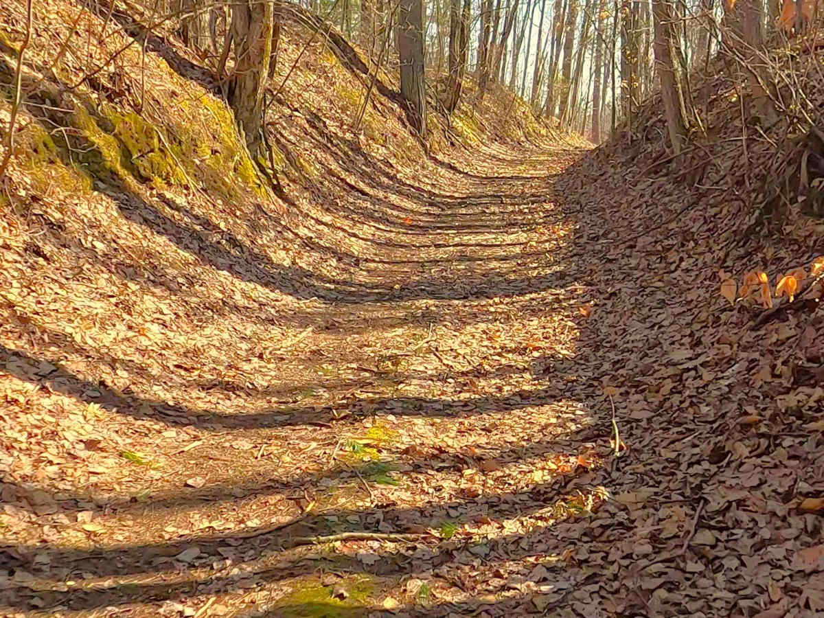 FS 4210 trail photo