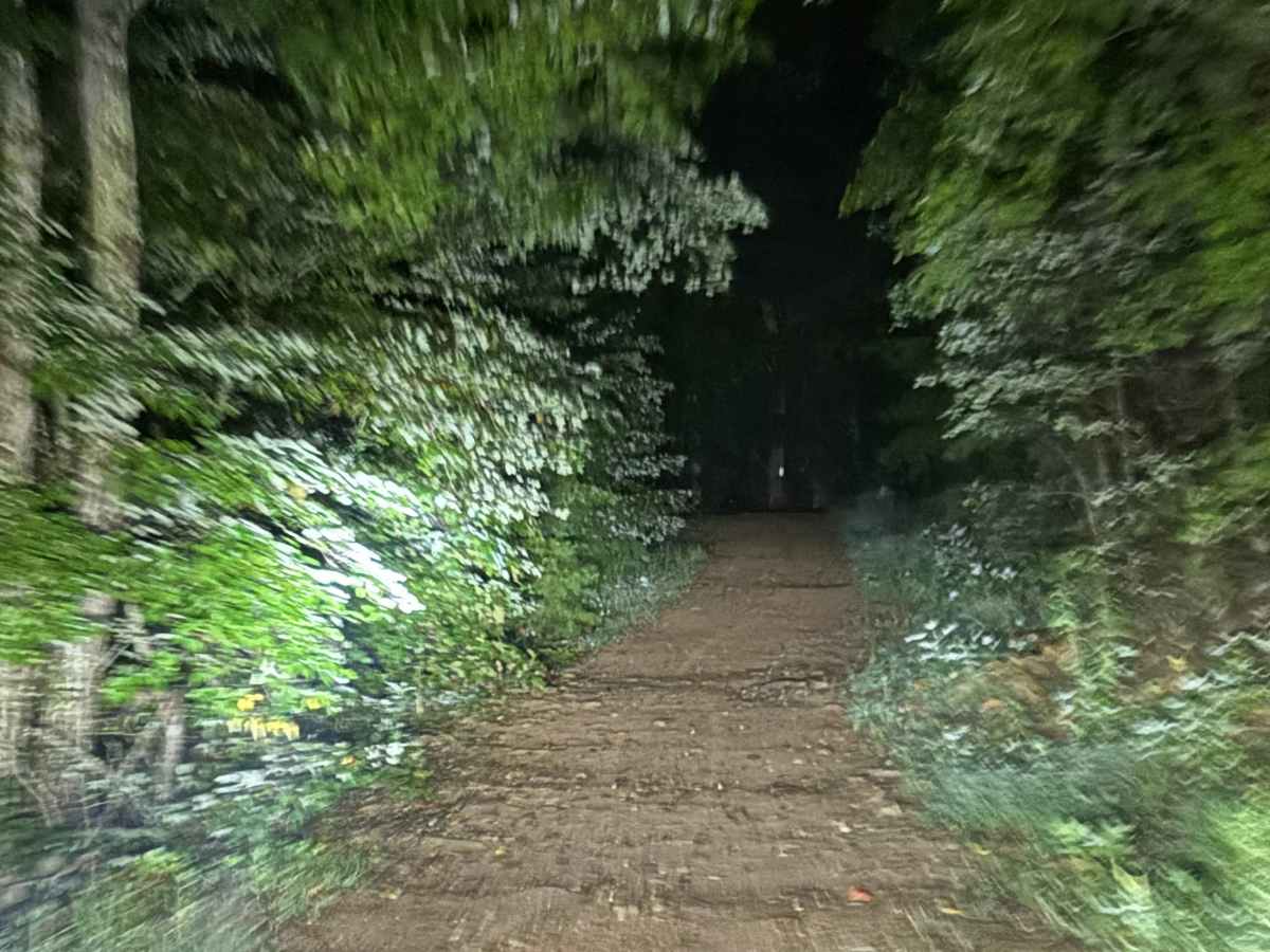 Fire Mountain Road photo 3