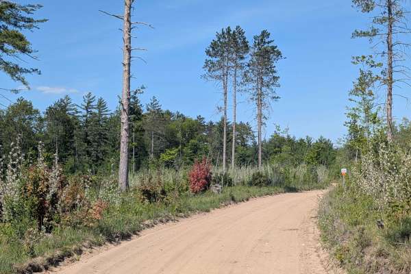 North Missaukee Route (Section 1)