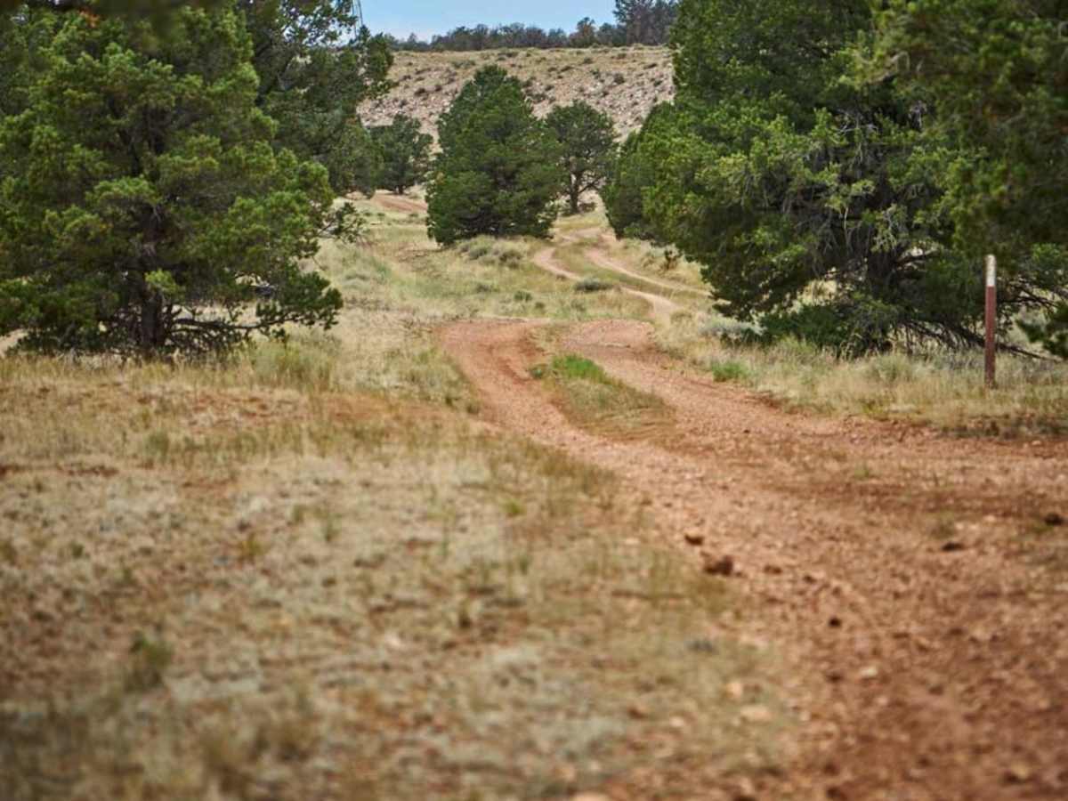 776 / Powerline Road photo 2