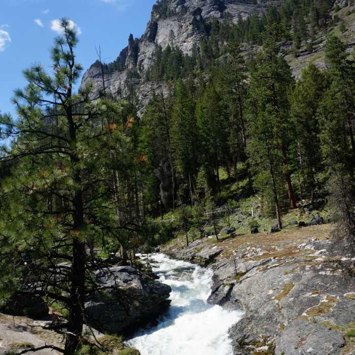 Near Bear Creek Falls