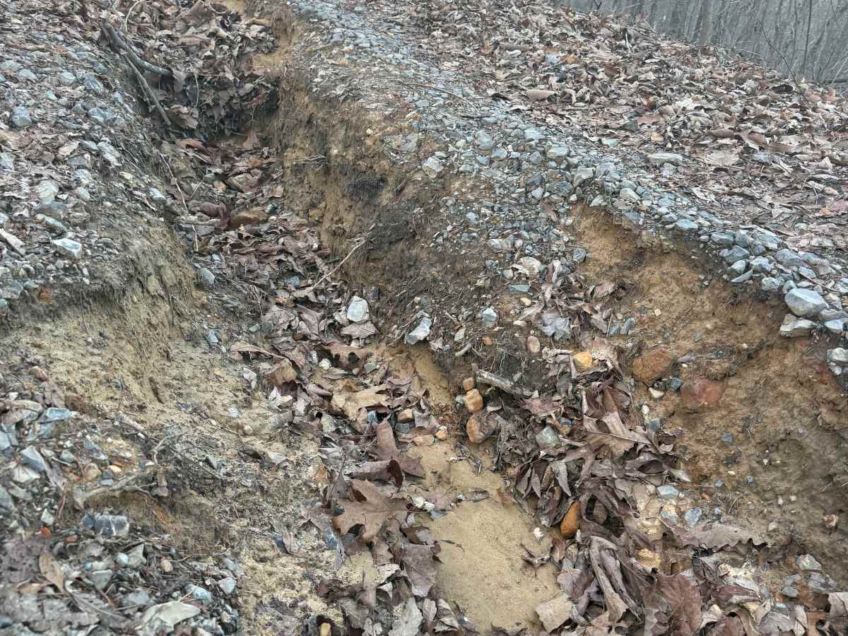 Stover Creek Ridge - FS 207A photo 5